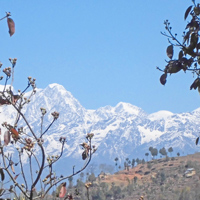 furusato guest house からの風景